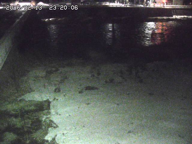 日野川６2026/02/14 1:30:00