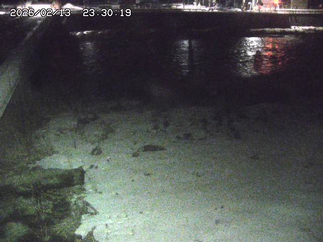 日野川６2026/02/14 1:30:00