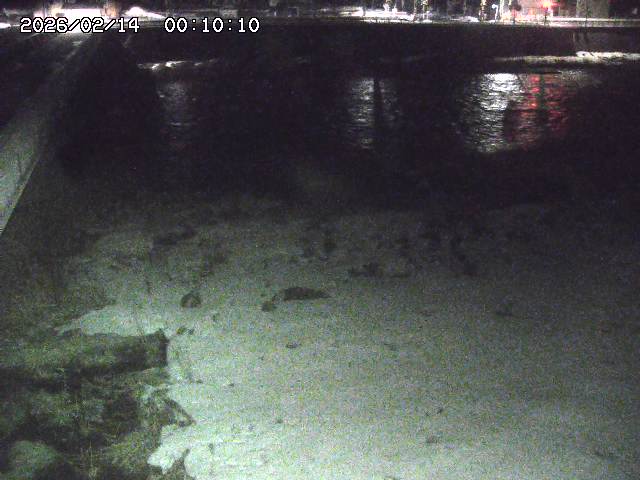 日野川６2026/02/14 1:30:00