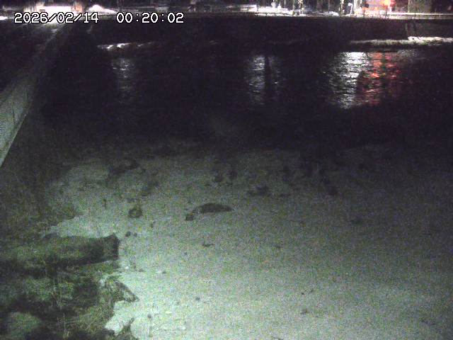 日野川６2026/02/14 1:30:00