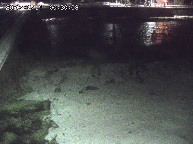 日野川６2026/02/14 1:30:00