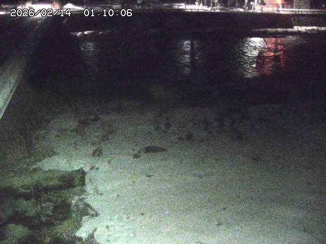 日野川６2026/02/14 1:30:00