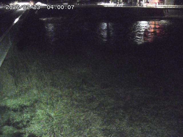 日野川６2026/02/24 2:30:00