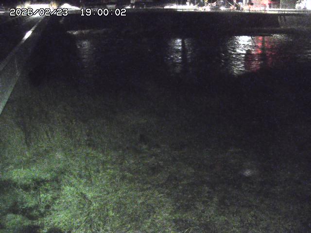 日野川６2026/02/24 2:30:00