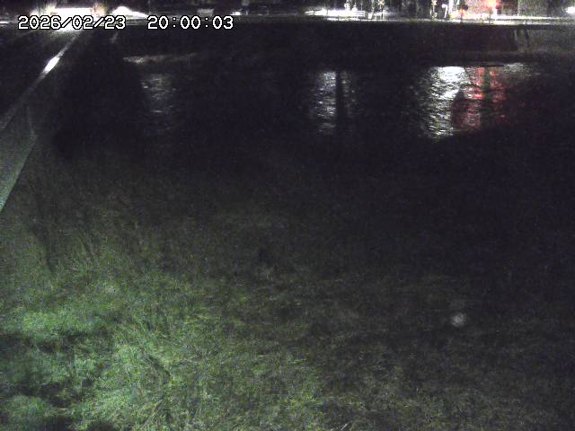 日野川６2026/02/24 2:30:00