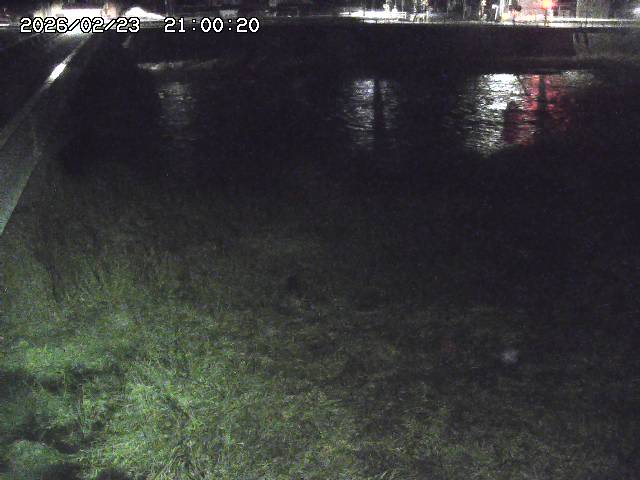 日野川６2026/02/24 2:30:00