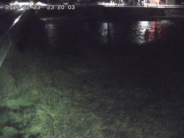 日野川６2026/02/24 2:30:00