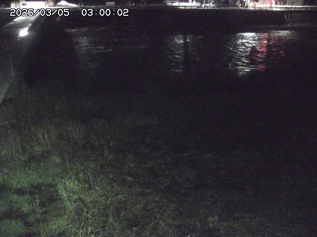 日野川６2026/03/06 3:30:00