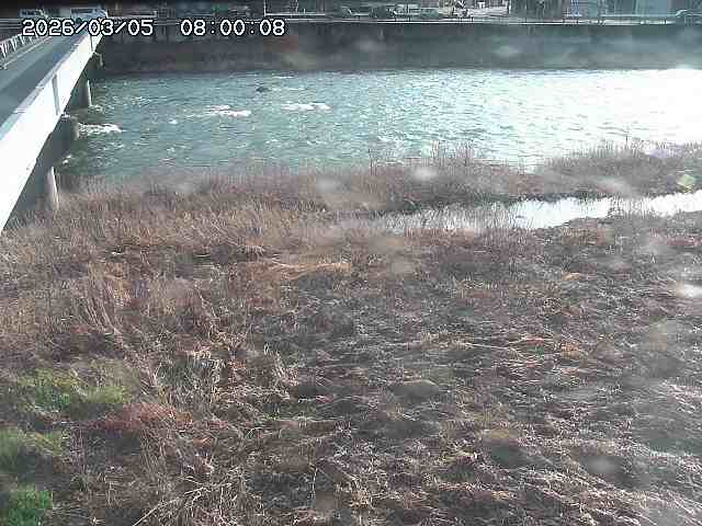 日野川６2026/03/06 3:30:00