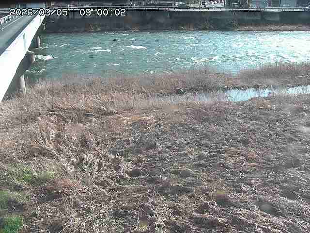 日野川６2026/03/06 3:30:00