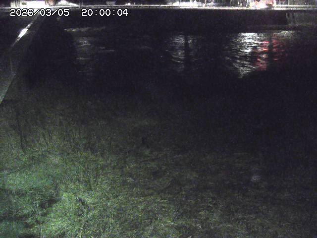 日野川６2026/03/06 3:30:00