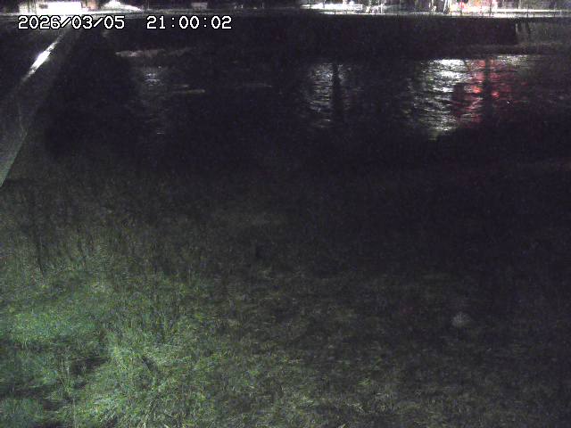 日野川６2026/03/06 3:30:00