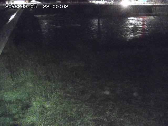 日野川６2026/03/06 3:30:00