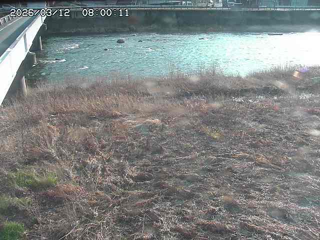 日野川６2026/03/13 3:40:00