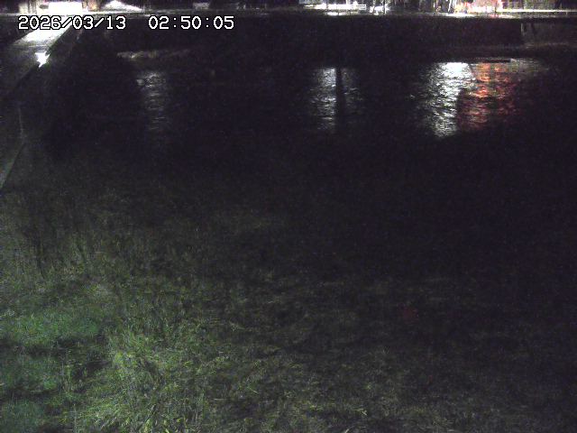 日野川６2026/03/13 3:40:00