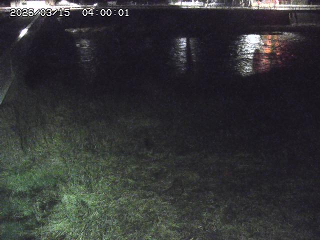 日野川６2026/03/16 3:50:00