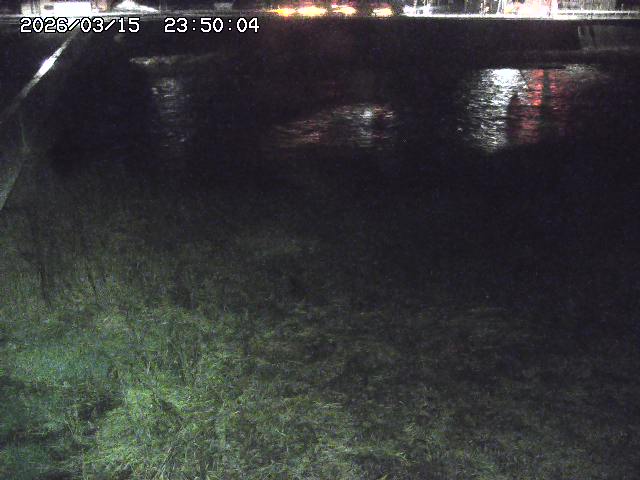 日野川６2026/03/16 3:50:00