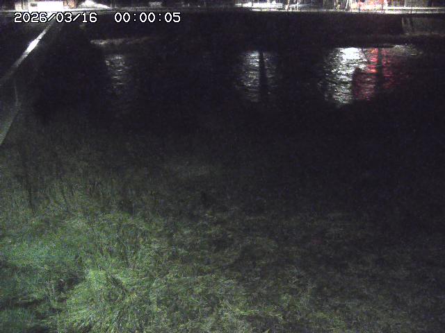 日野川６2026/03/16 3:50:00