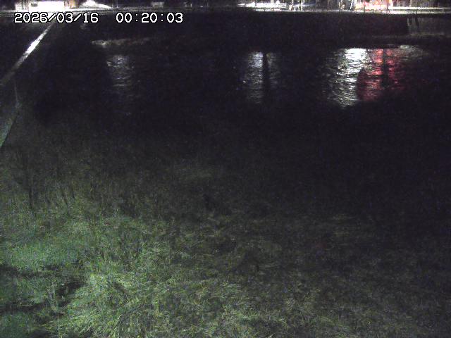 日野川６2026/03/16 3:50:00