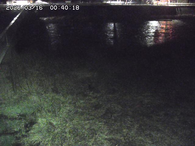 日野川６2026/03/16 3:50:00