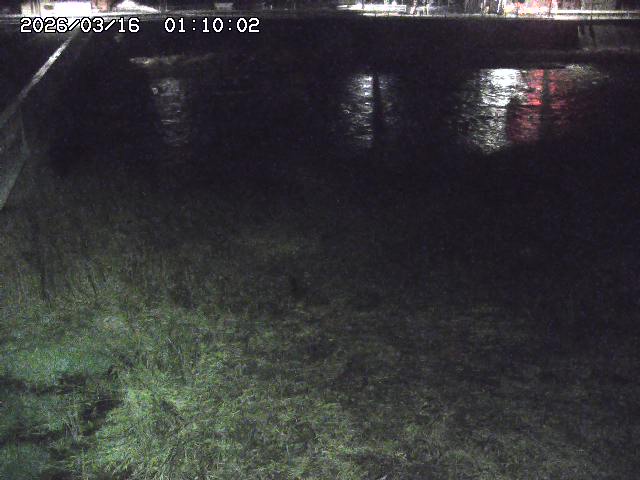 日野川６2026/03/16 3:50:00