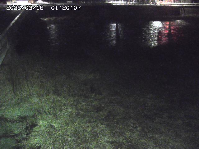 日野川６2026/03/16 3:50:00