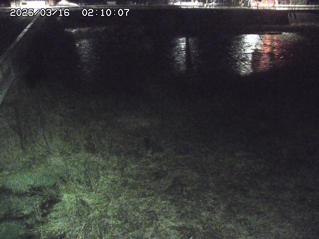 日野川６2026/03/16 3:50:00