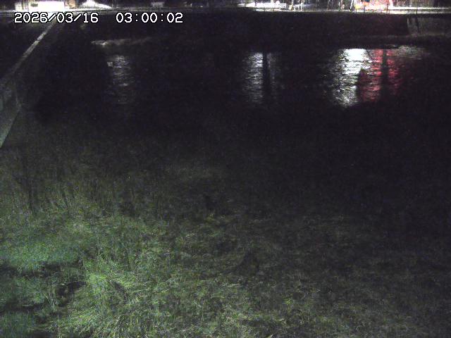 日野川６2026/03/16 3:50:00