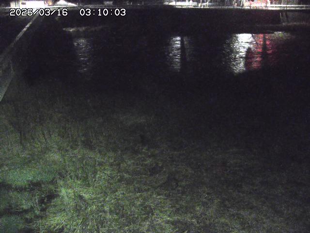 日野川６2026/03/16 3:50:00