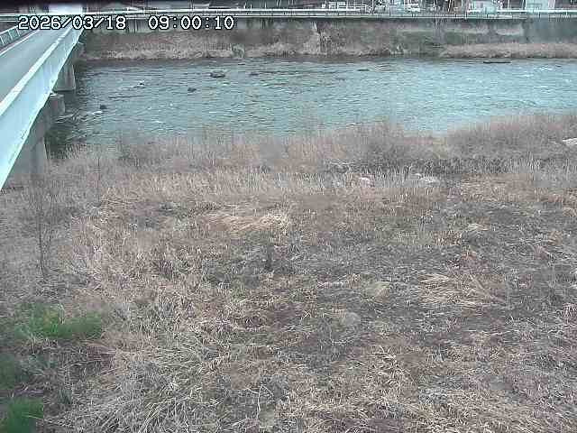 日野川６2026/03/19 4:30:00