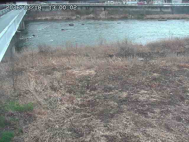 日野川６2026/03/19 4:30:00