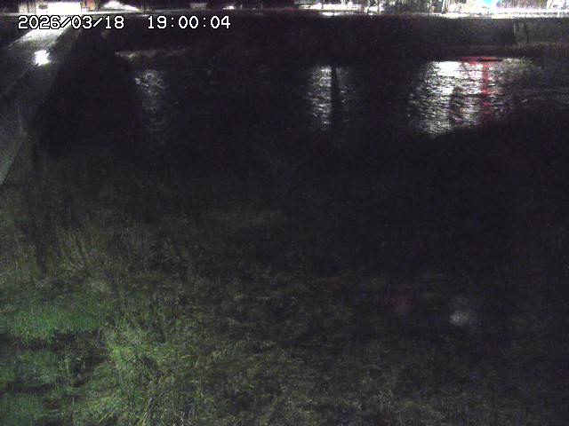 日野川６2026/03/19 4:30:00