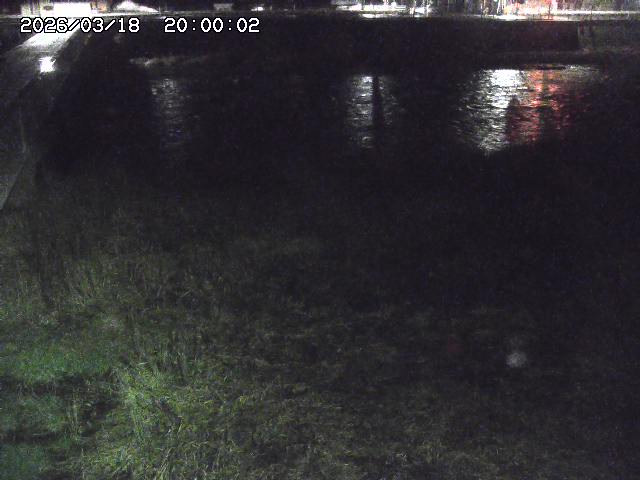 日野川６2026/03/19 4:30:00