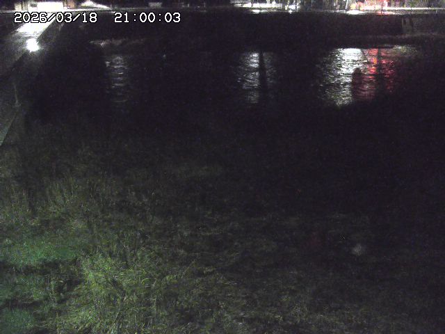 日野川６2026/03/19 4:30:00