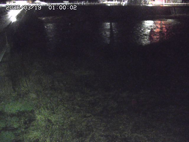 日野川６2026/03/19 4:30:00