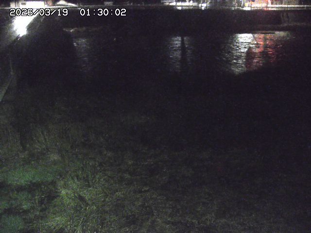 日野川６2026/03/19 4:30:00