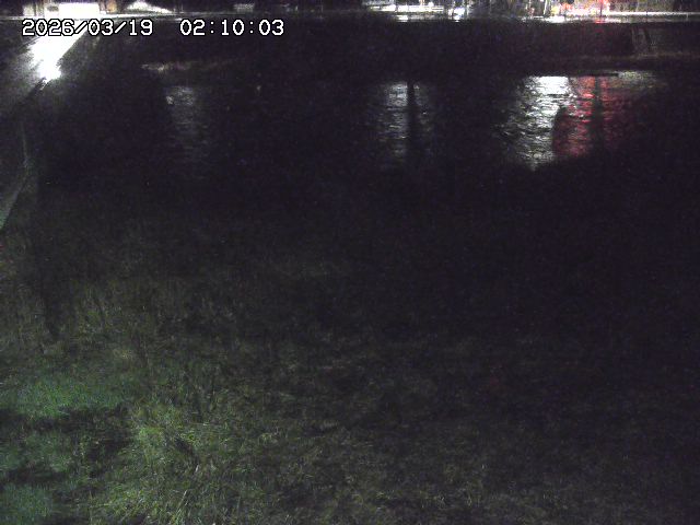 日野川６2026/03/19 4:30:00