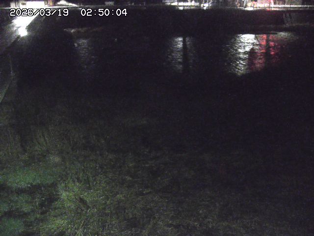 日野川６2026/03/19 4:30:00