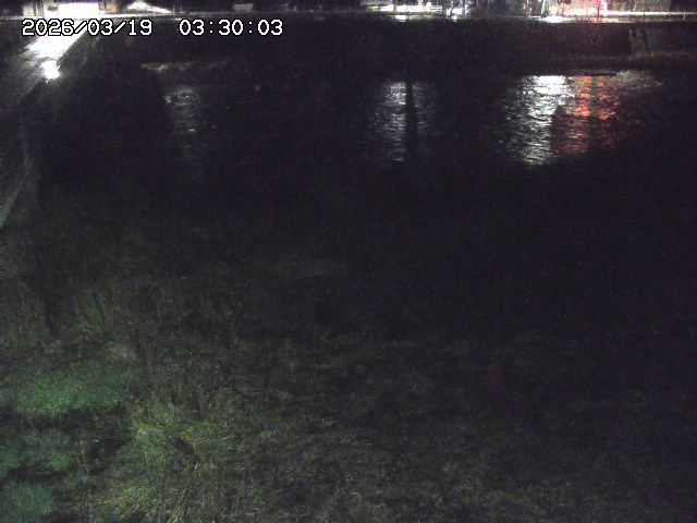 日野川６2026/03/19 4:30:00