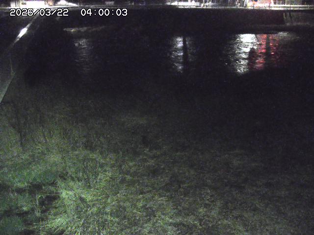 日野川６2026/03/22 11:20:00