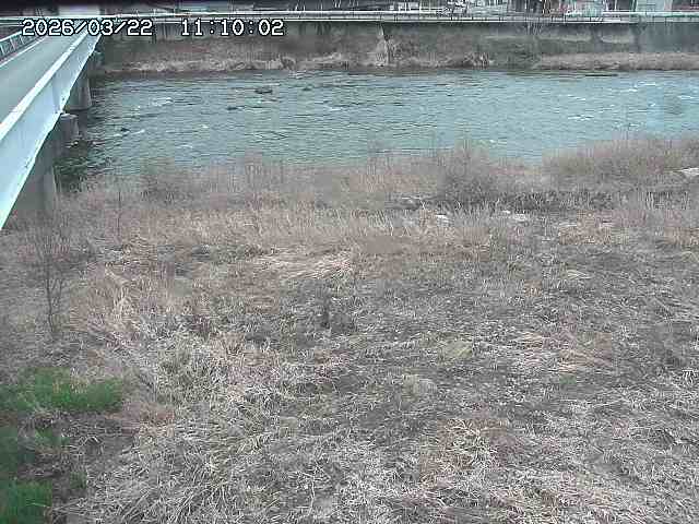 日野川６2026/03/22 11:20:00