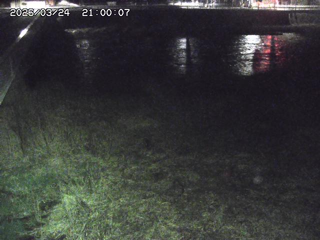 日野川６2026/03/25 12:40:00