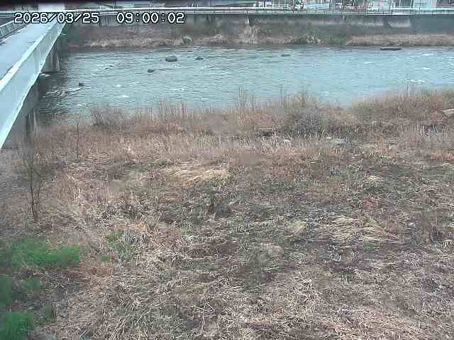 日野川６2026/03/25 12:40:00