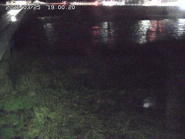 日野川６2026/03/26 16:10:00