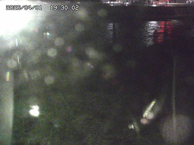 日野川６2026/04/01 21:50:00