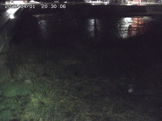 日野川６2026/04/01 21:50:00