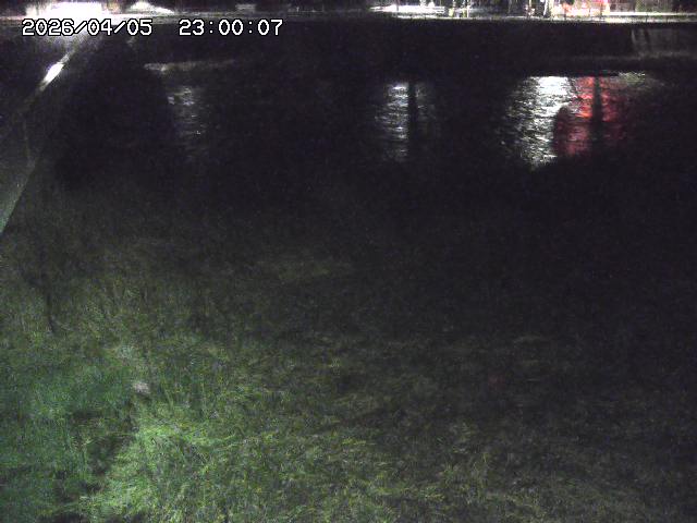 日野川６2026/04/06 5:00:00