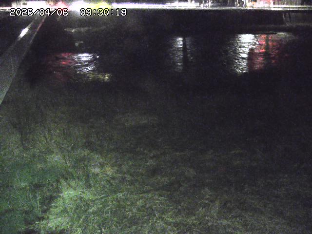 日野川６2026/04/06 5:00:00