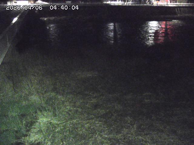 日野川６2026/04/06 5:00:00