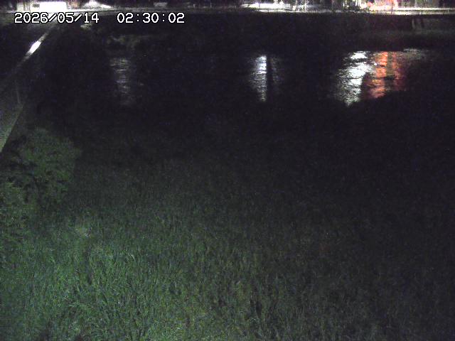 日野川６2026/05/14 2:50:00